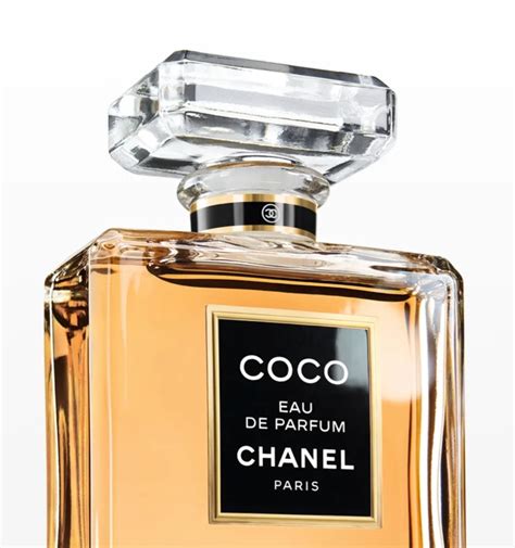 princess chanel|Coco Chanel .